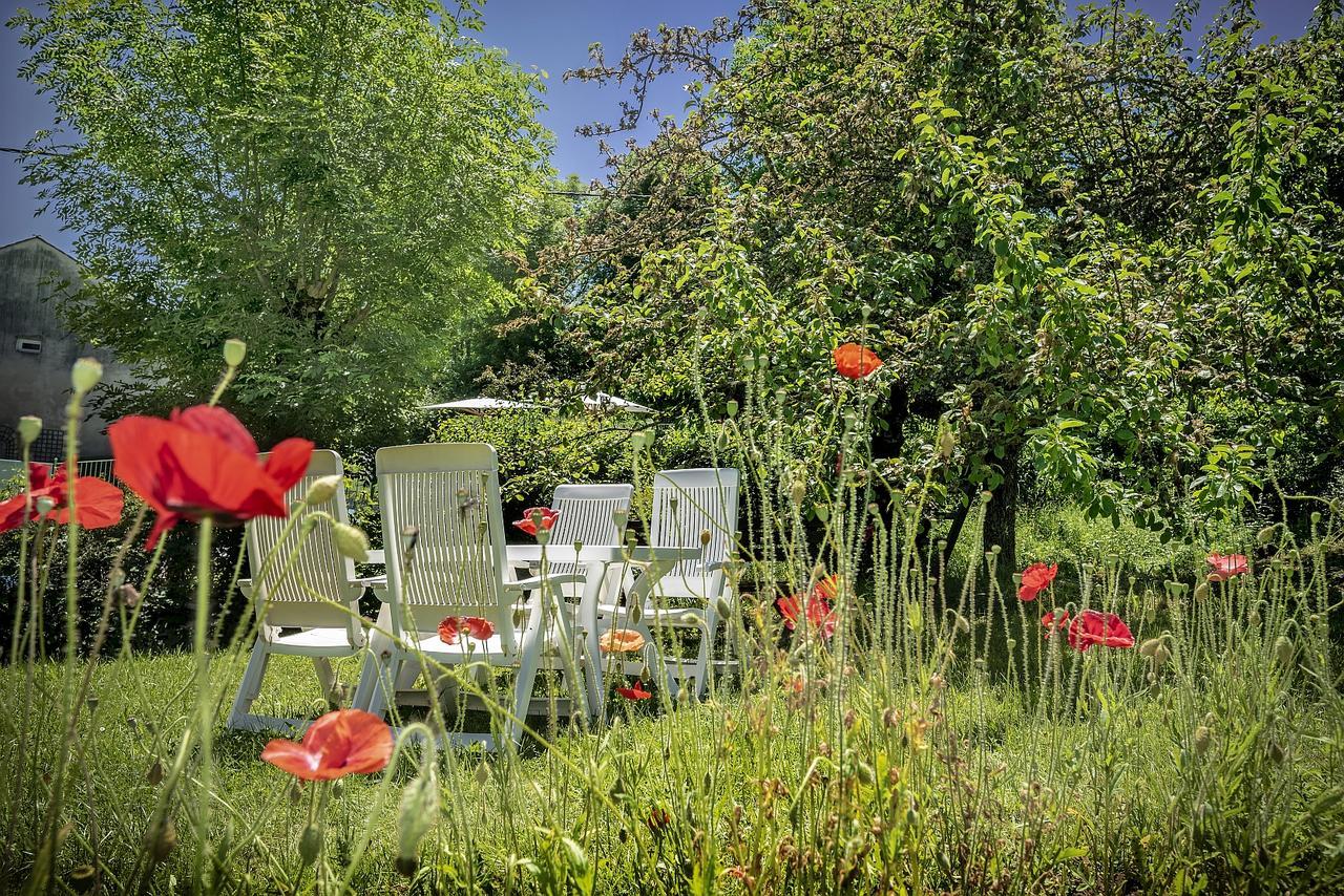 Logis Hotel Restaurant Le Mont Aigoual Meyrueis Exteriér fotografie